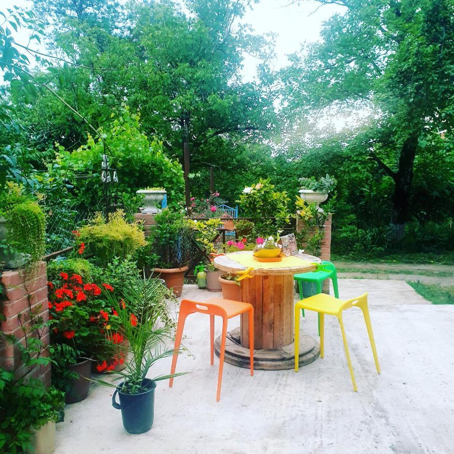 Four Seasons In Kutaisi Hotel Luaran gambar