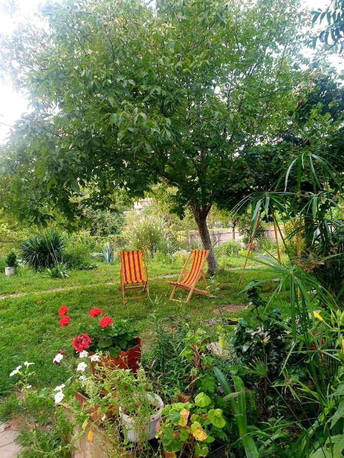 Four Seasons In Kutaisi Hotel Luaran gambar